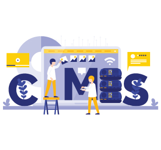 Web Development 14 CMS Website Development