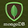 Web Development 7 mongo